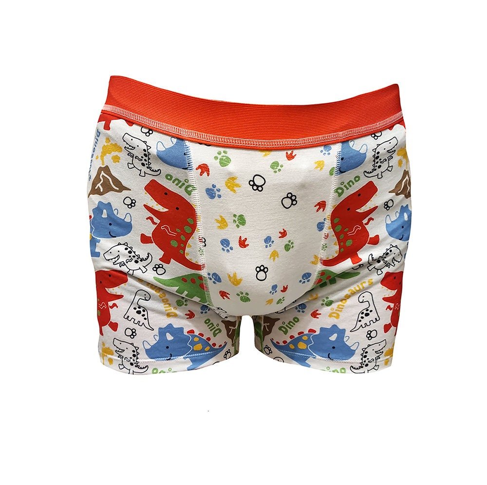 Adult Abdl Dinosaur Boxer Briefs Dino Underwear Paddedpawzuk 0535