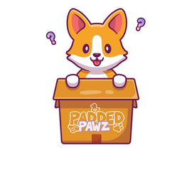 Puppy Pet-Play Mystery Set - Pet Play Kink Random Box - PaddedPawzUK
